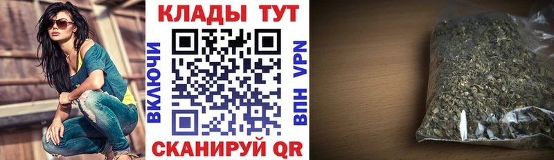 Купить закладку Конопля  Меф мяу мяу  Cocaine  ГАШ  Североморск
